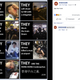 Translation of final panel: Hong Kong cockroach chaos